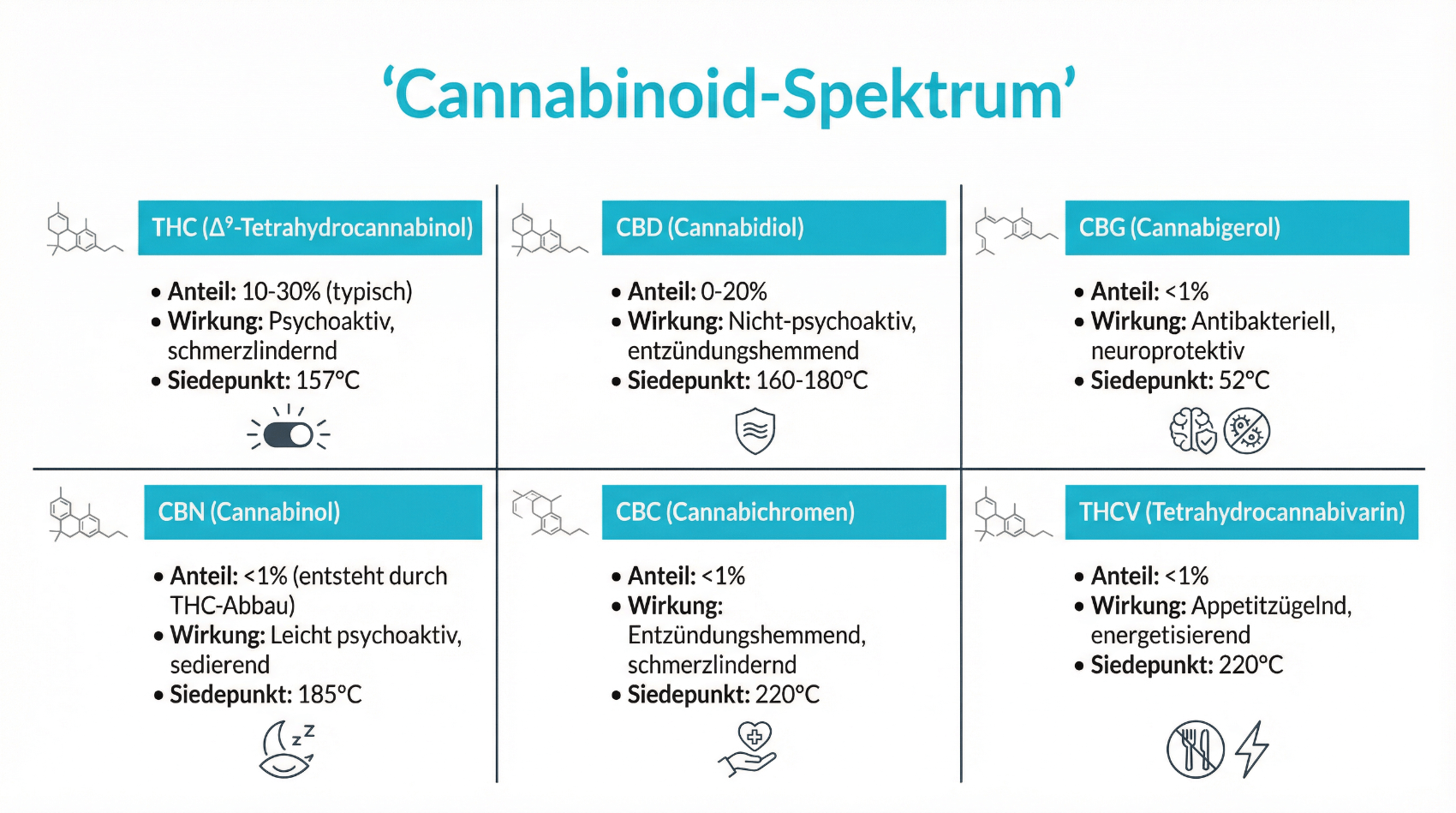 Grafische Darstellung des Cannabinoid-Spektrums mit THC, CBD und weiteren Cannabinoiden