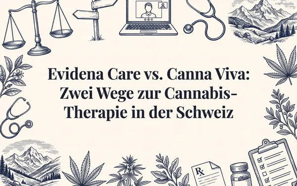 Dekorative Titelillustration zum Vergleich von Evidena Care und Canna Viva