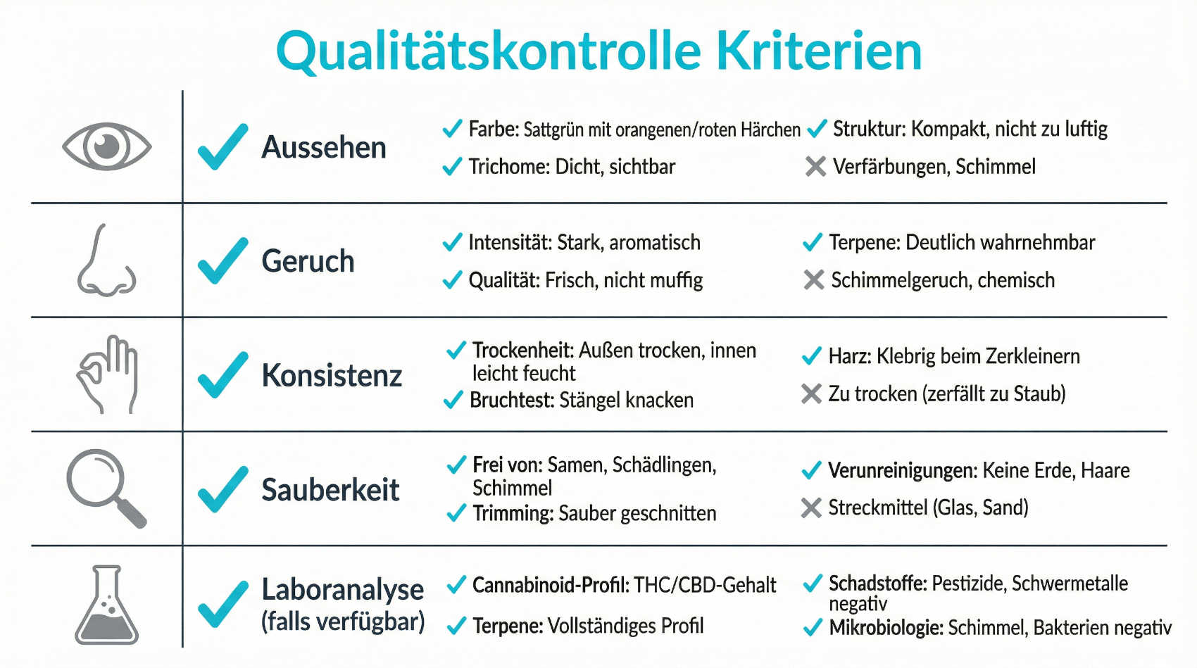 Infografik: Qualitätsmerkmale für CBD-Öl – Checkliste für Konsumenten