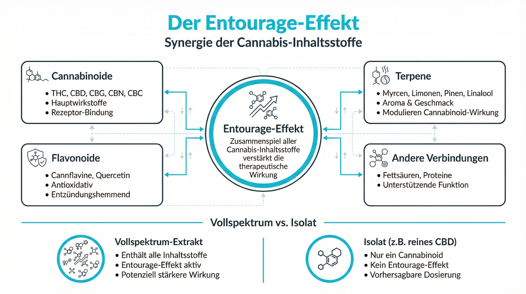 Infografik: Das Endocannabinoid-System – Rezeptoren, Endocannabinoide und Wirkungsmechanismen