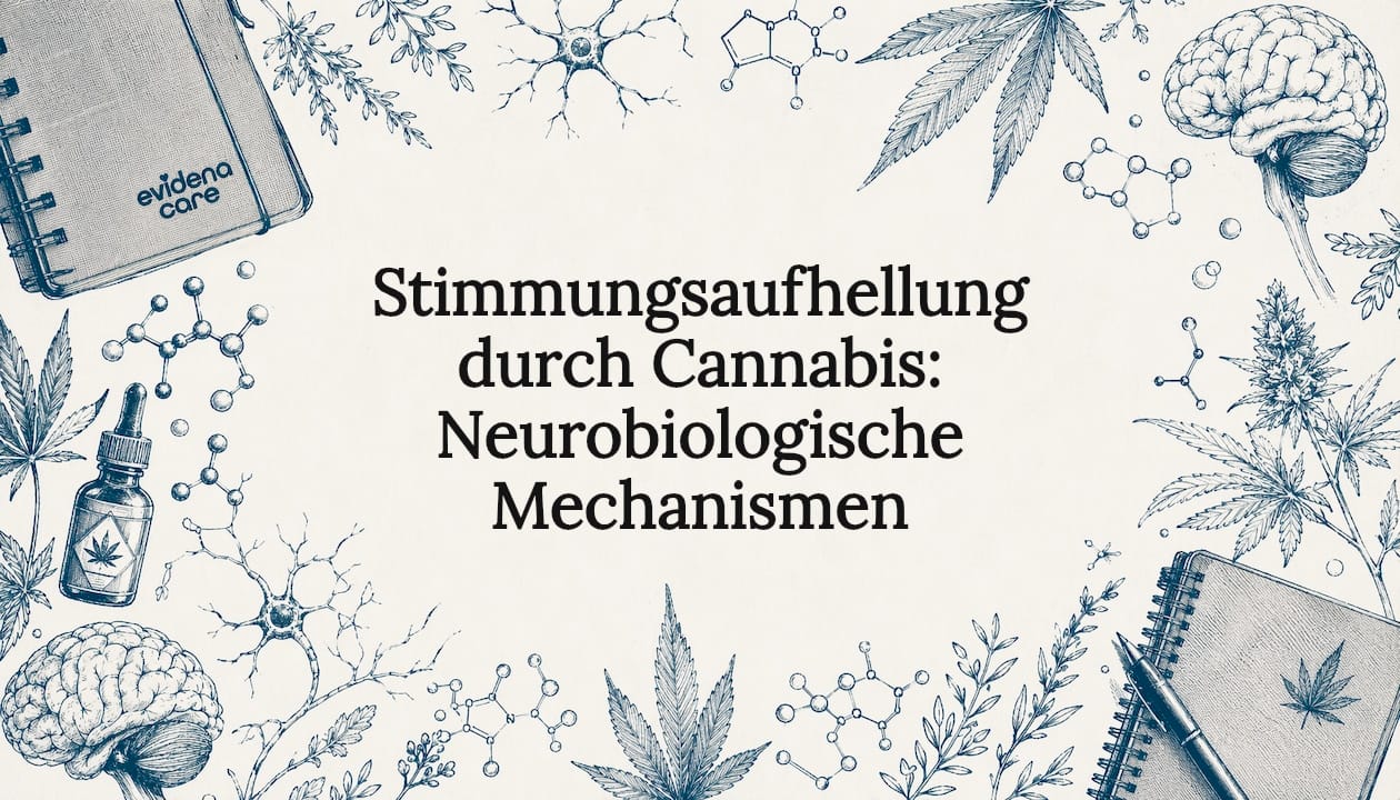 Stimmungsaufhellung durch Cannabis: Neurobiologische Mechanismen