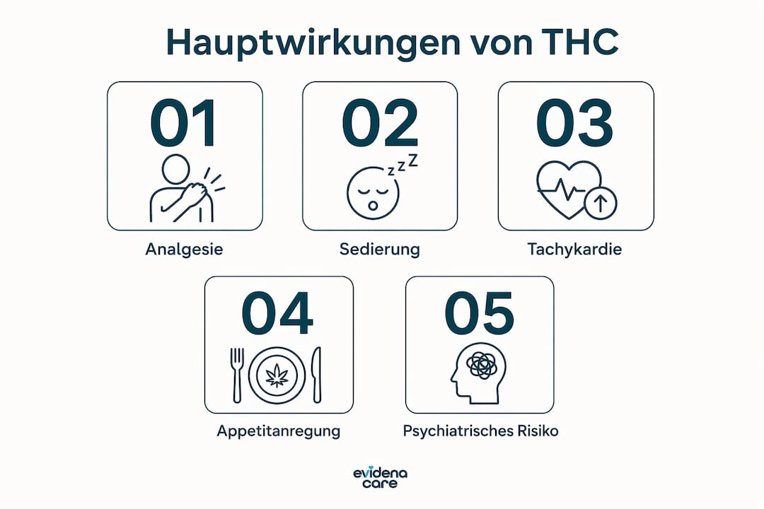 Übersichtsgrafik zu den wichtigsten klinischen Wirkungen und möglichen Nebenwirkungen von THC