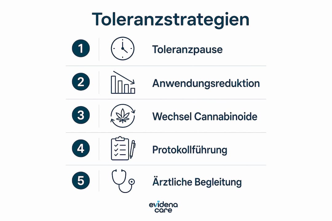 Die Infografik präsentiert verschiedene Ansätze, wie man einer Toleranzbildung effektiv vorbeugen kann.