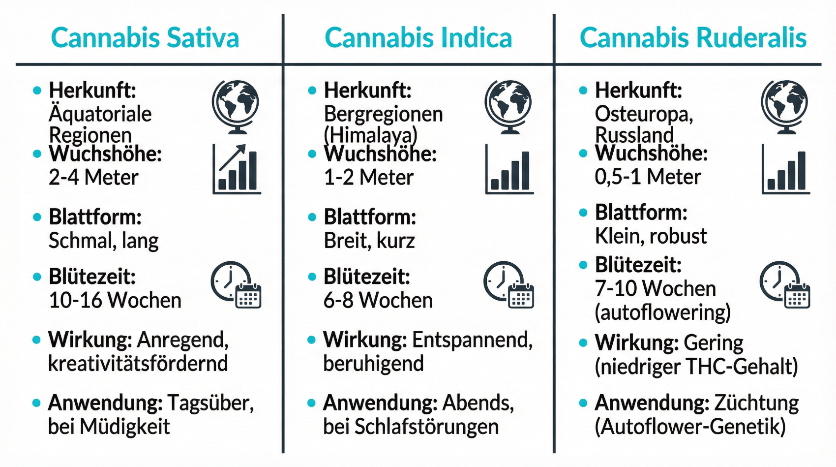 Illustration verschiedener Cannabispflanzen-Typen wie Sativa und Indica
