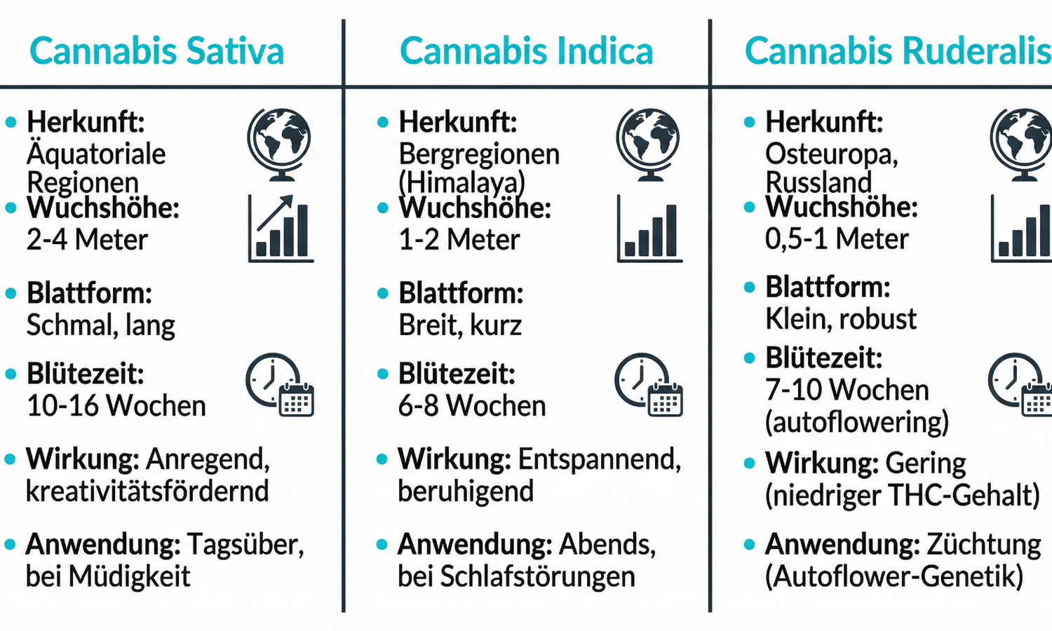 Schematische Darstellung von Sativa-, Indica- und Ruderalis-Pflanzen