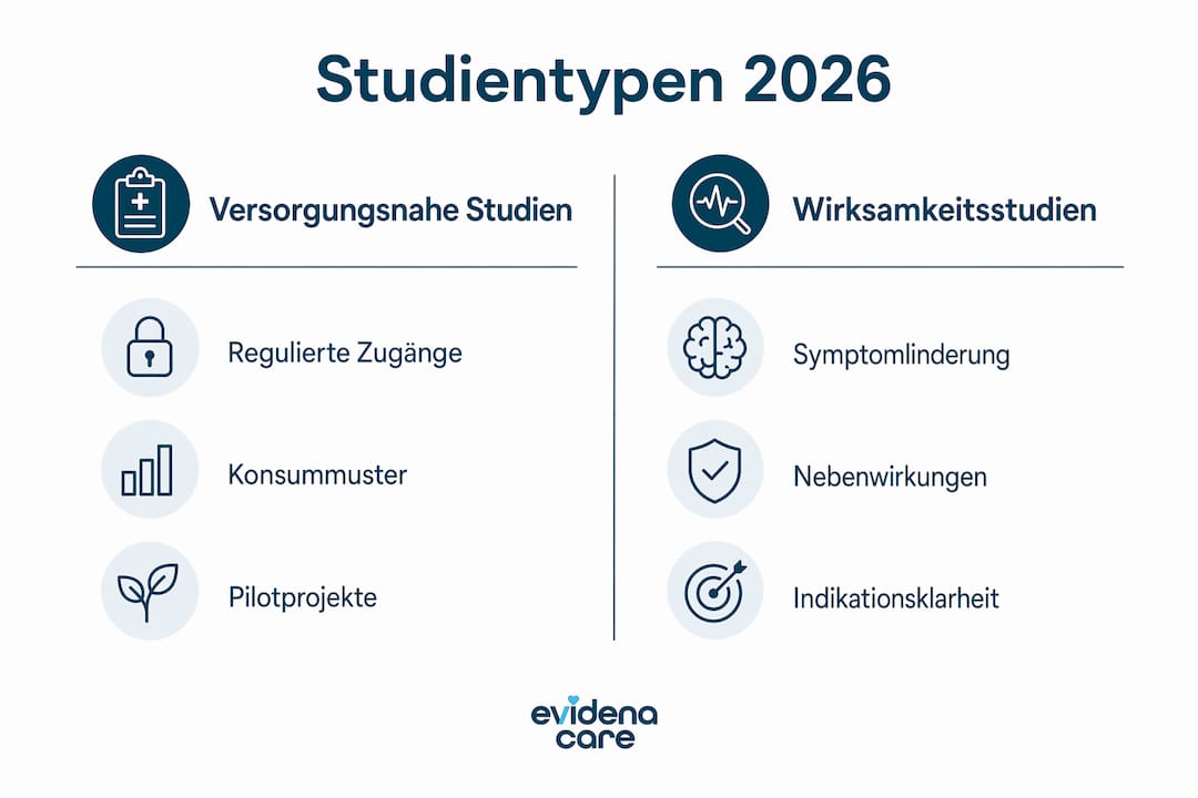 Grafische Übersicht: Welche Studientypen gibt es 2026?