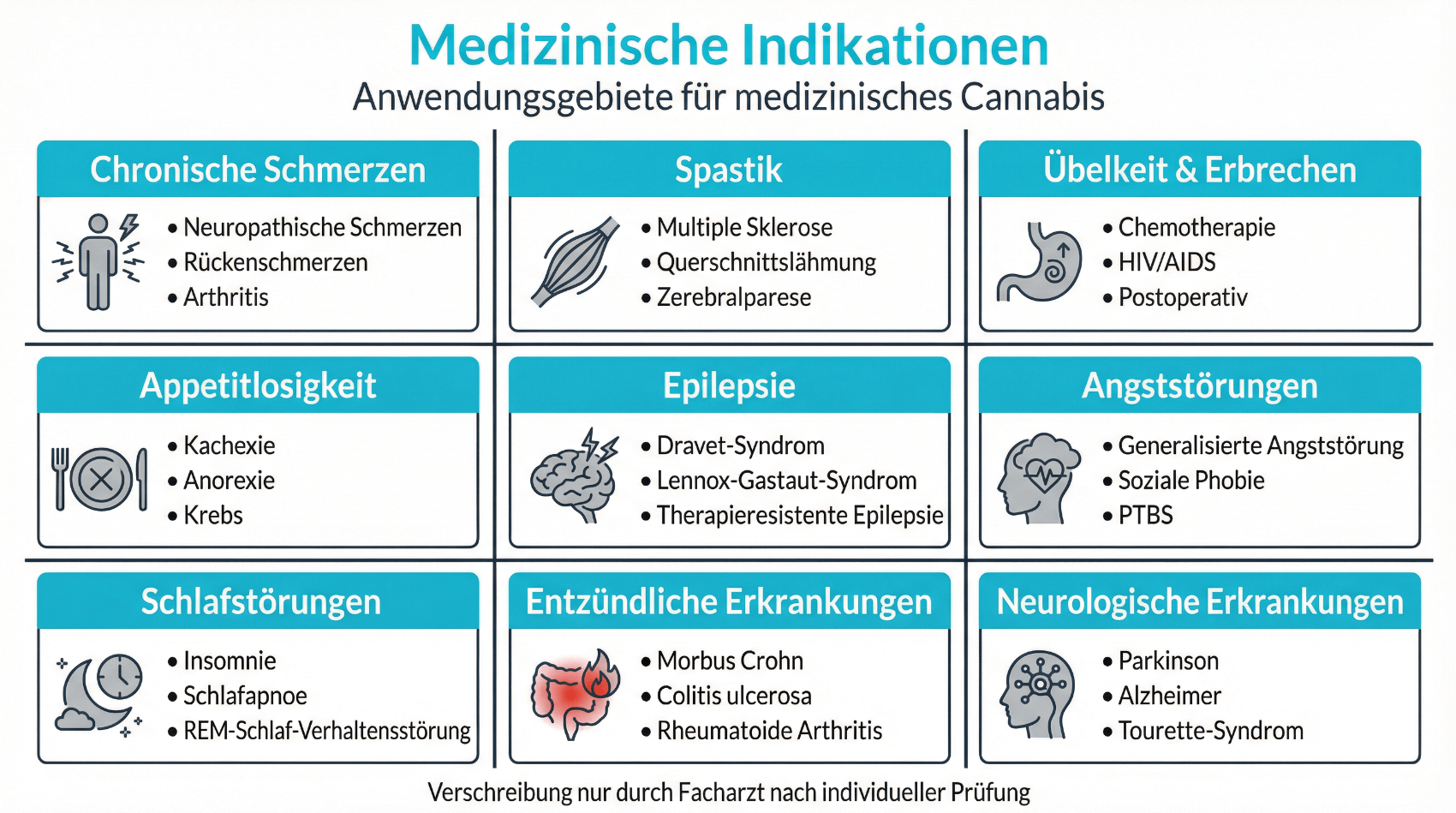 Übersicht medizinischer Indikationen für Cannabis-Therapie