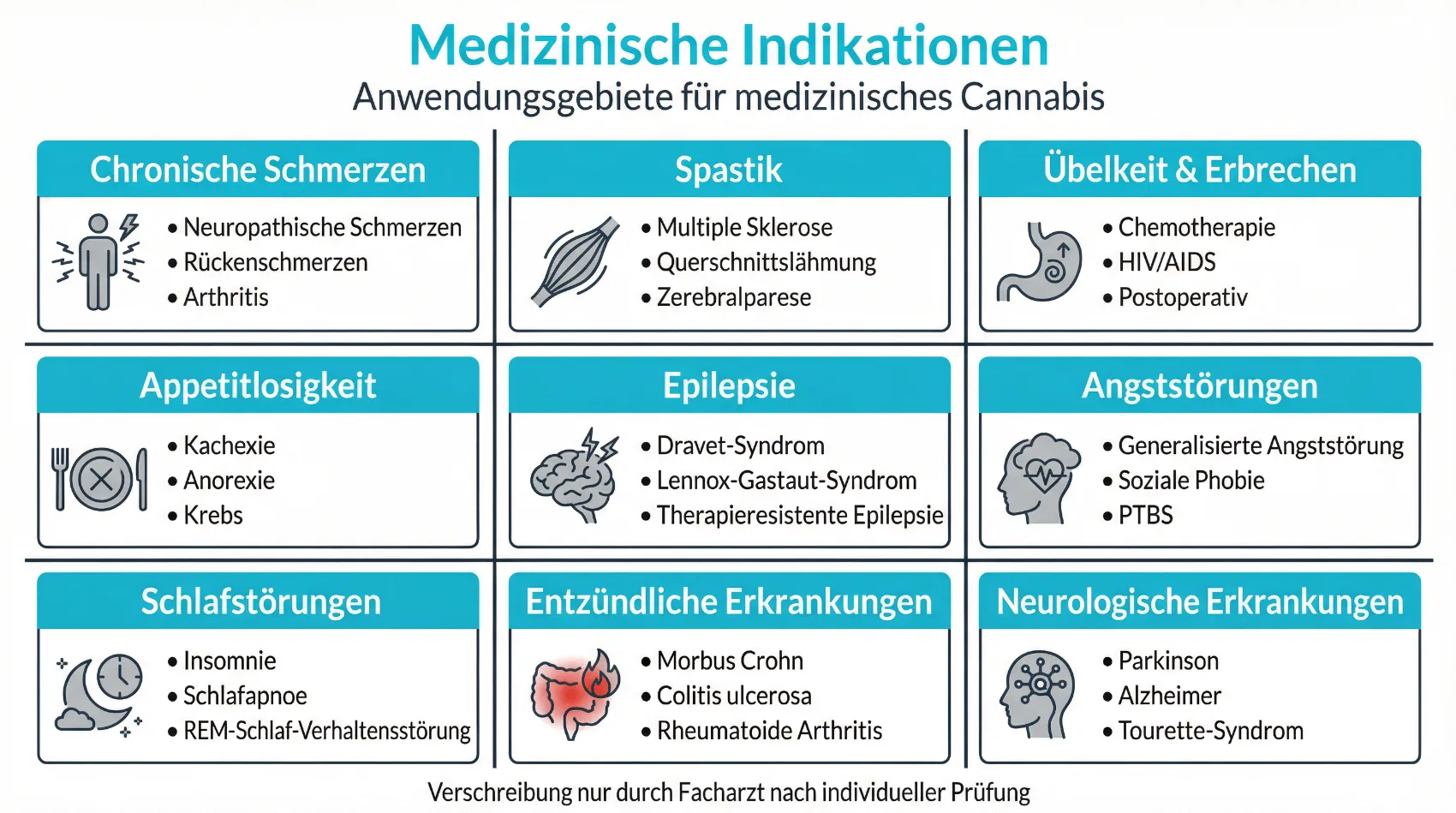 Übersicht medizinischer Indikationen für Cannabinoid-Therapien