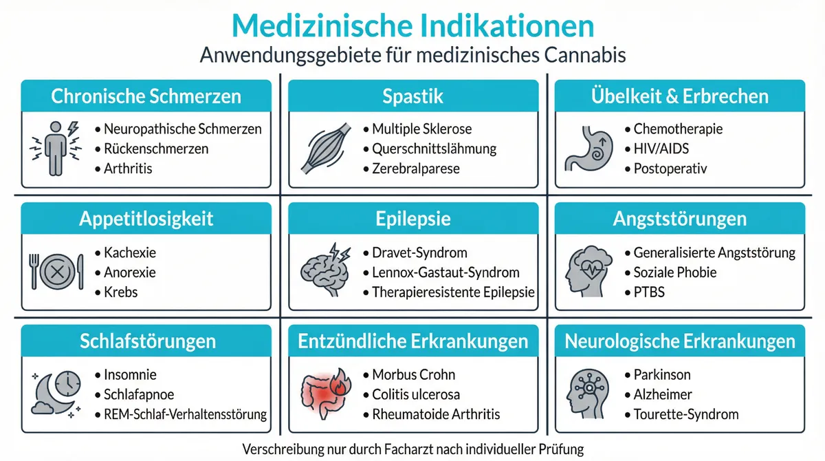 Übersicht über medizinische Indikationen, bei denen Cannabis diskutiert wird