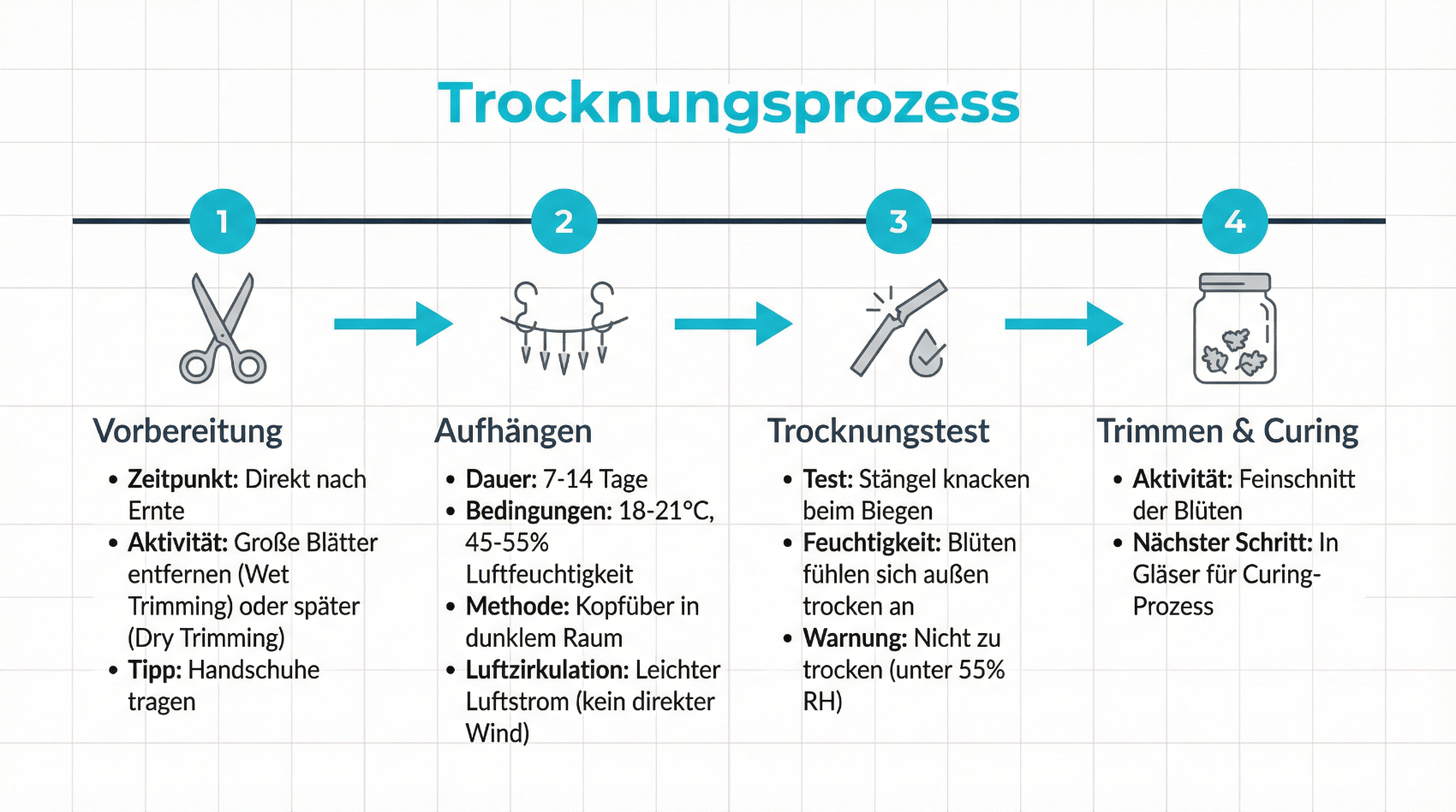 Infografik: Trocknungsprozess und Schlafqualität bei Cannabis