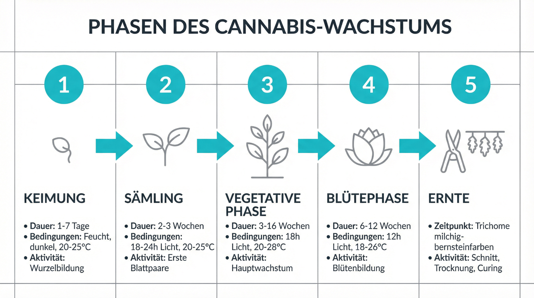 Symbolische Darstellung eines schrittweisen Therapieverlaufs bei chronischer Erkrankung