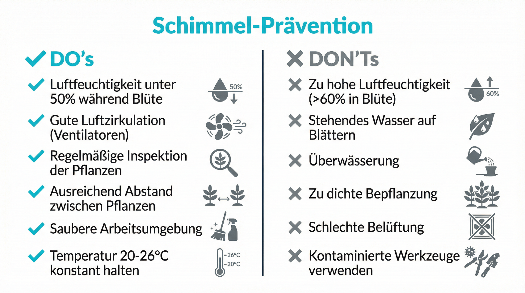 Prävention von Risiken und sorgfältiges Monitoring bei der Cannabis-Therapie