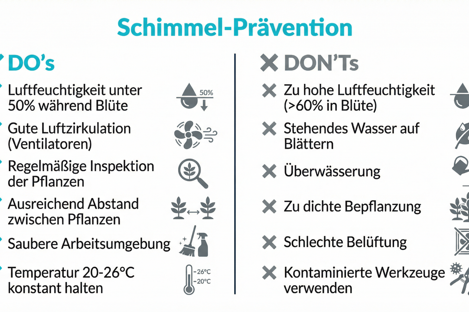 Schimmelprävention und Qualitätskontrolle bei Cannabisprodukten